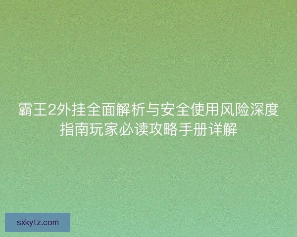 霸王2外挂全面解析与安全使用风险深度指南玩家必读攻略手册详解