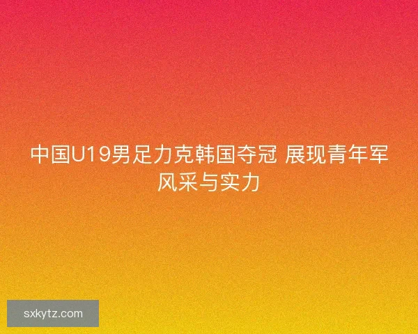 中国U19男足力克韩国夺冠 展现青年军风采与实力